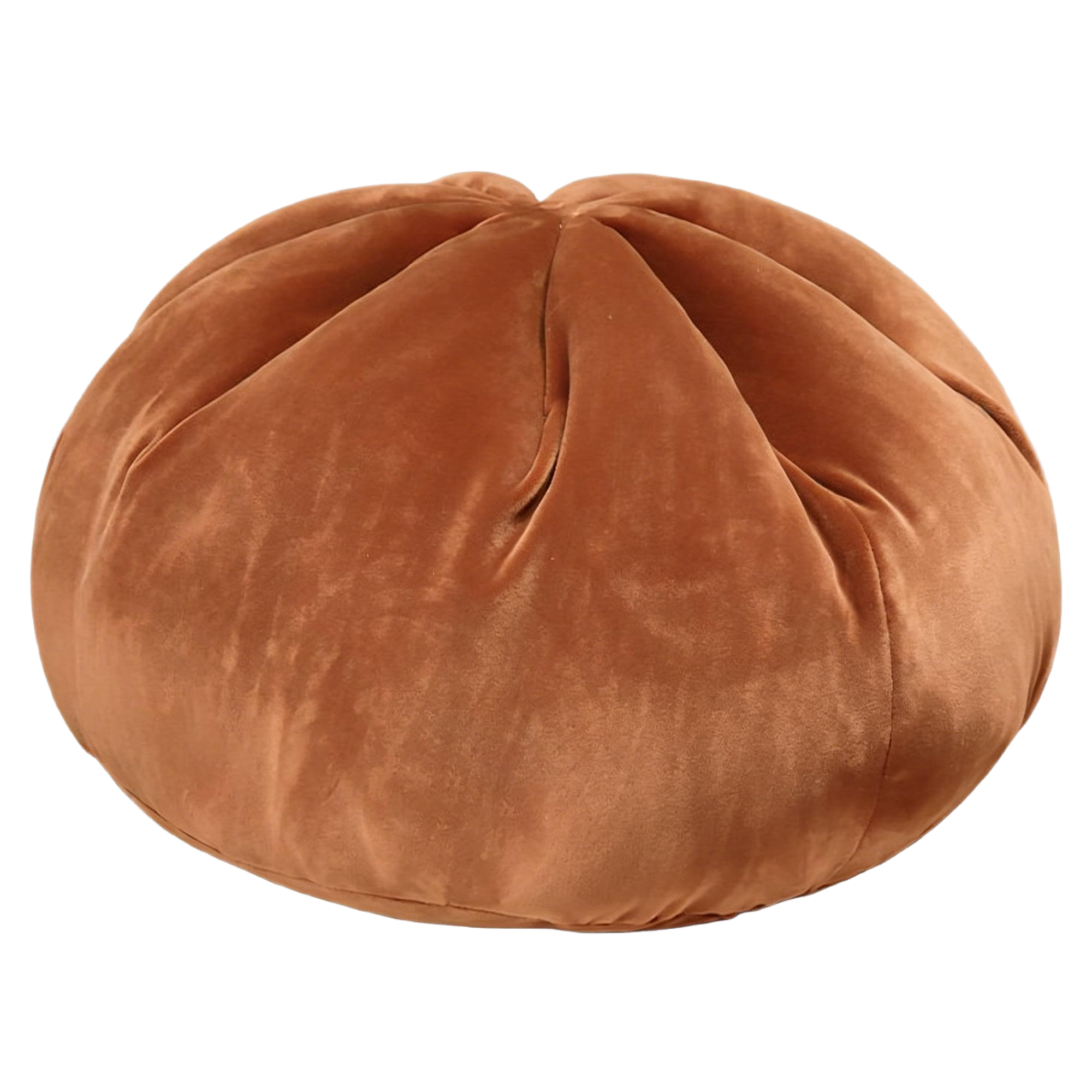 Steamed Dumpling Pillow in Brown Sugar